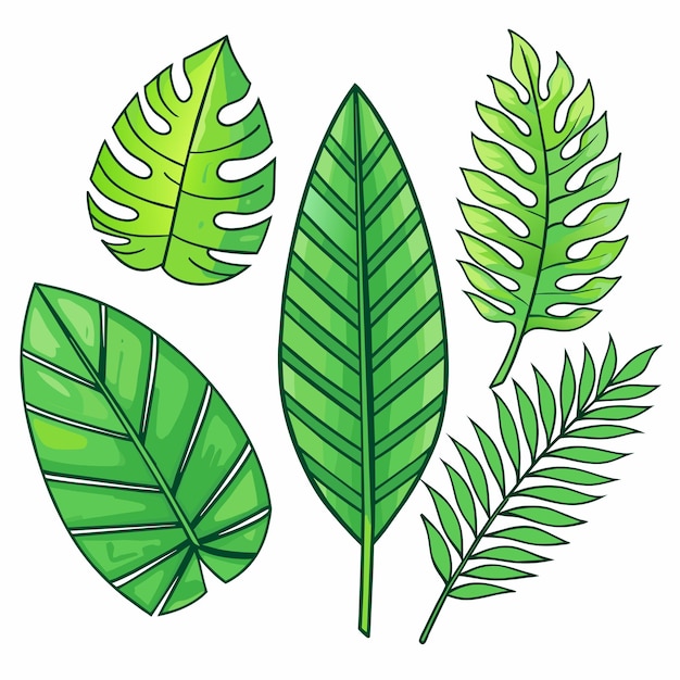 Conjunto de hojas tropicales exóticas ilustración vectorial aislada sobre fondo blanco
