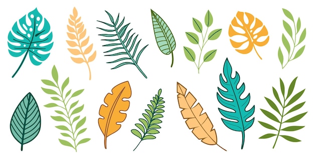 Conjunto de hojas tropicales vectoriales aisladas en una ilustración de fondo blanco