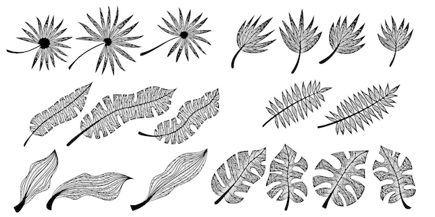 Conjunto de hojas tropicales vectoriales en escala de grises