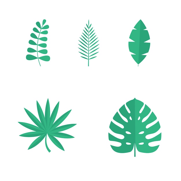 Conjunto de hojas tropicales de verano aisladas sobre fondo blanco. Ilustración vectorial. EPS10