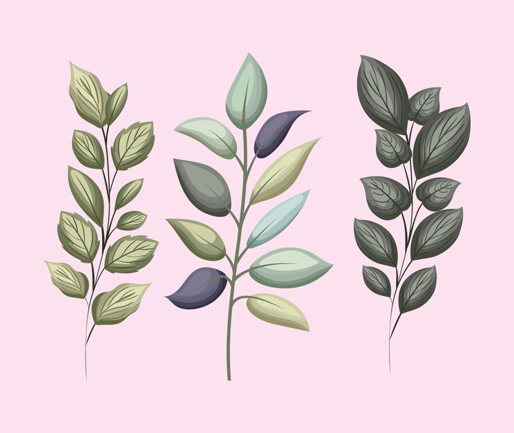 Vector conjunto de hojas verdes, diseño de pintura de naturaleza floral, planta, jardín, ornamento, botánica, decoración y vida, tema, ilustración