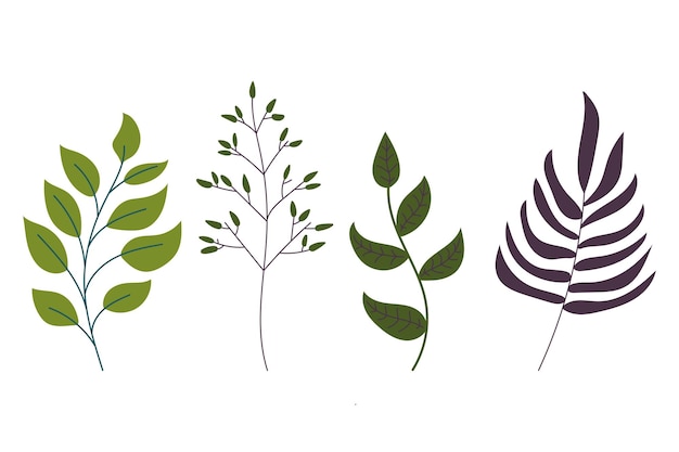 Conjunto de hojas verdes y moradas ilustración vectorial