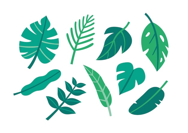 Un conjunto de hojas verdes tropicales forma ilustración vibraciones de verano clipart de plantas botánicas