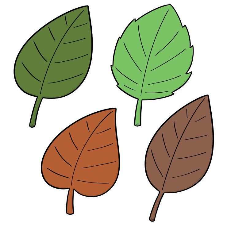 Vector conjunto de hojas