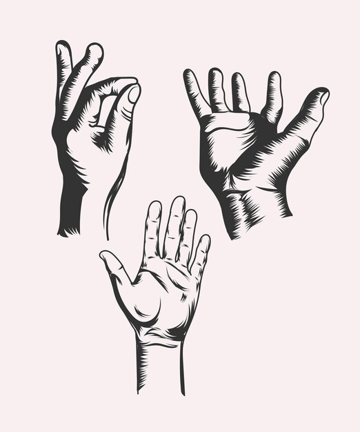 conjunto, de, hombres, mano, negro, vector, ilustración