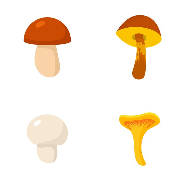 Conjunto de hongos comestibles aislado sobre fondo blanco. Ilustración de dibujos animados de vector plano.