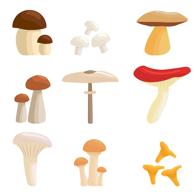 Conjunto de hongos frescos y sabrosos sobre fondo blanco Vector hongos de miel hongos blancos roble boletus chanterelle motley paraguas champignon russula paloma readovka en estilo de dibujos animados
