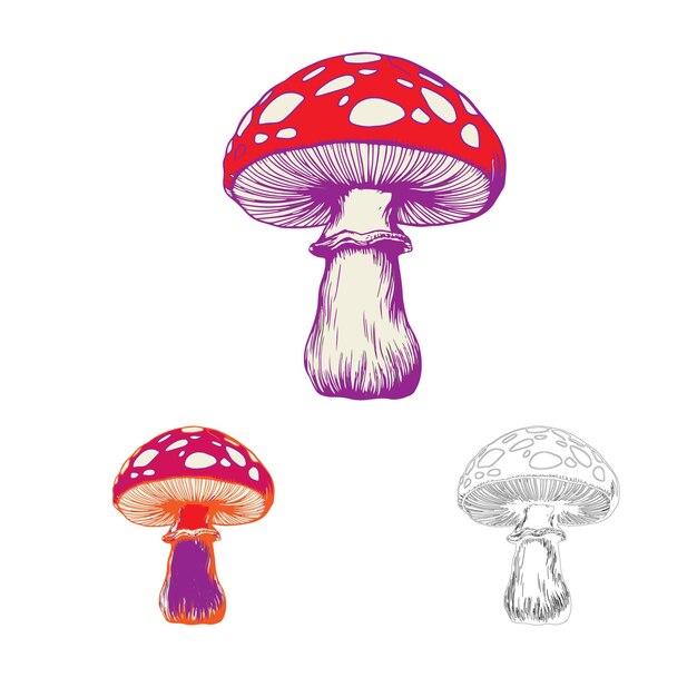 conjunto de hongos ilustración vectorial de hongos hongo aislado en un boceto de fondo blanco