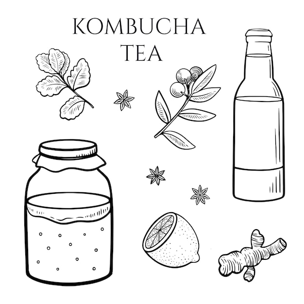 Conjunto de hongos kombucha en botella de recipiente con bebida de té jengibre menta limón y otras especias