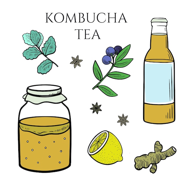 Conjunto de hongos kombucha en botella de recipiente con bebida de té jengibre menta limón y otras especias