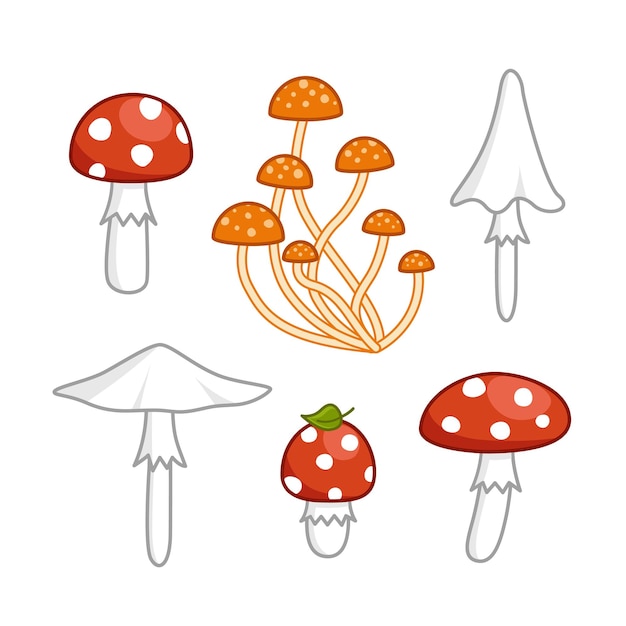 Conjunto de hongos tóxicos no comestibles Amanita taza de la muerte Vector de dibujos animados