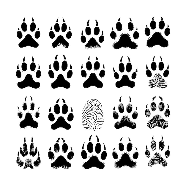 Conjunto de huellas de patas de animales Ilustración del icono de las huellas de las patas Perro cachorro gato oso lobo