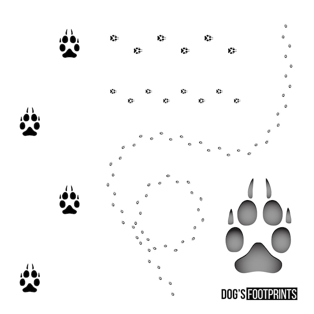 Conjunto de huellas de perros aislado sobre fondo blanco Elemento de diseño vectorial