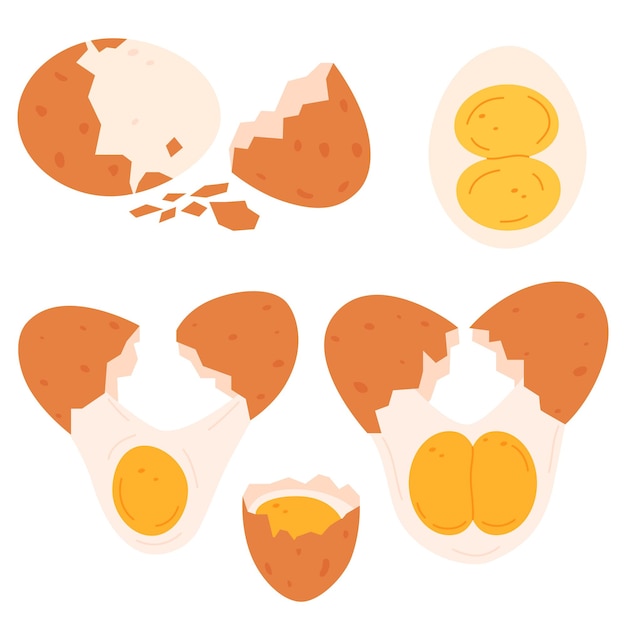 Vector conjunto de huevos ilustración de dibujos animados huevo de gallina marrón roto aislado sobre fondo blanco