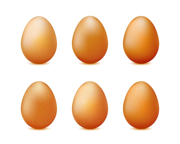 Conjunto de huevos realistas aislado sobre fondo blanco.