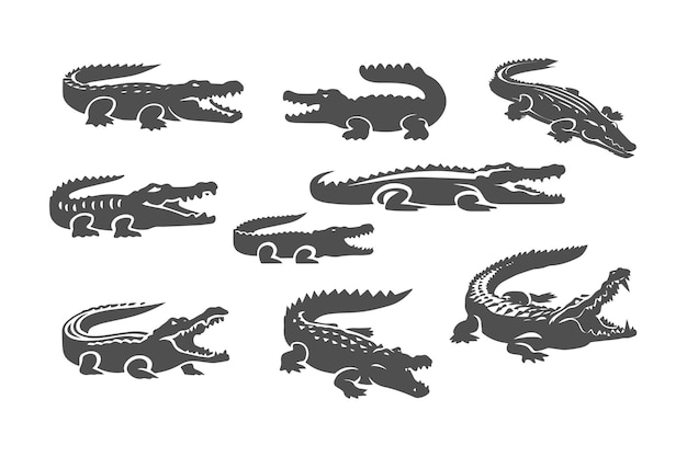 Conjunto de icono de cocodrilo forestal o ilustración vectorial de la silueta del símbolo del signo del logotipo