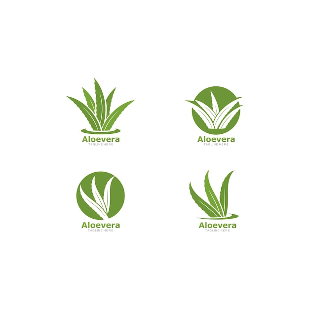 Conjunto de icono de vector de plantilla de logotipo de aloevera