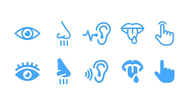 Conjunto de iconos de los 5 sentidos Símbolo de percepción como ver oír sabor oler y tocar