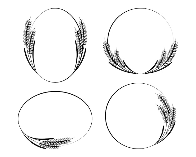 Conjunto de iconos abstractos redondos de espigas de trigo. Logotipo, icono, plantilla, elemento de decoración, vector