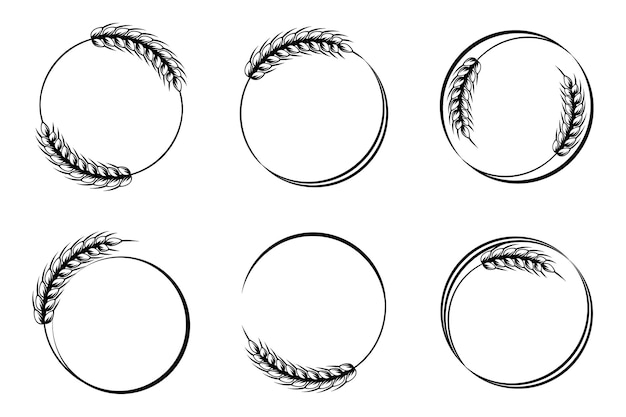 Conjunto de iconos abstractos redondos de espigas de trigo. Logotipo, icono, plantilla, elemento de decoración, vector