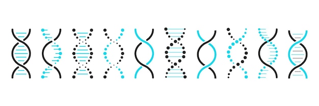 Conjunto de iconos de ADN Modelo de gen de vida bio código genética molécula símbolos médicos Estructura molécula cromosoma icono Vector conjunto de elementos ADN