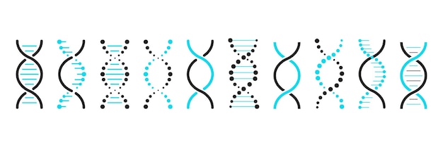 Conjunto de iconos de adn modelo de gen de vida bio código genética molécula símbolos médicos estructura molécula cromosoma icono vector conjunto de elementos adn