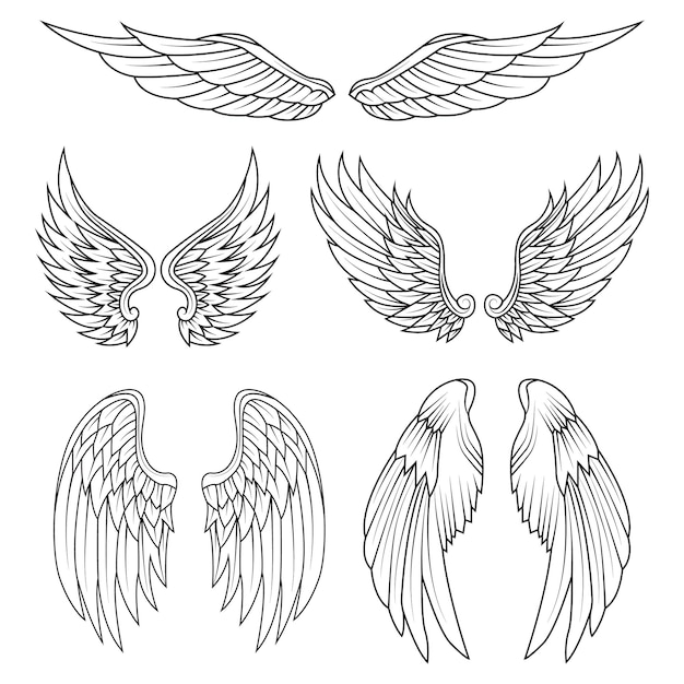 Conjunto de iconos de alas blancas negras. alas de angel. alas de plumas.  ilustración vectorial