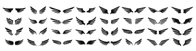 Conjunto de iconos de alas Conjunto simple de insignias de alas Colección de iconos vectoriales para su diseño sobre fondo blanco