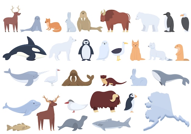 Conjunto de iconos de Alaska vector de dibujos animados Animal de foca morsa esquimal