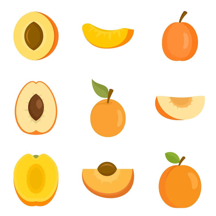 Vector conjunto de iconos de albaricoque