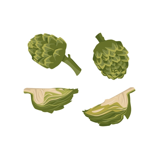 Conjunto de iconos de alcachofa verde. verduras y hojas sanas enteras y en parte, cosecha. deliciosa comida para ensalada y cocina. ilustración plana vectorial