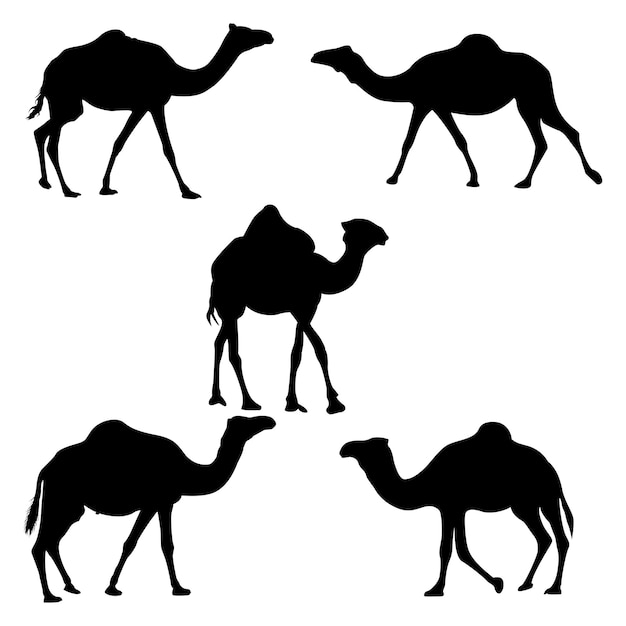 Conjunto de iconos de animales de paquete de silueta de camellos
