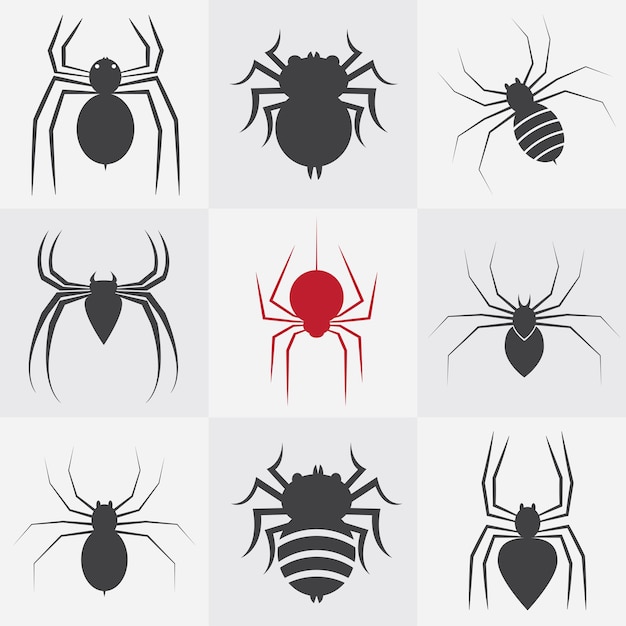 Conjunto de iconos de araña vectorial sobre fondo gris