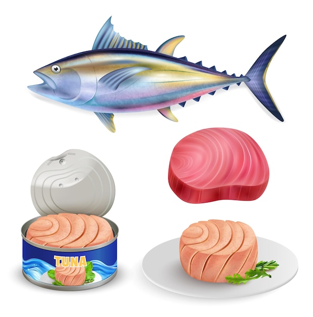 Vector conjunto de iconos de atún realista canal de pescado bistec cocido pieza cruda de carne e ilustración vectorial enlatada