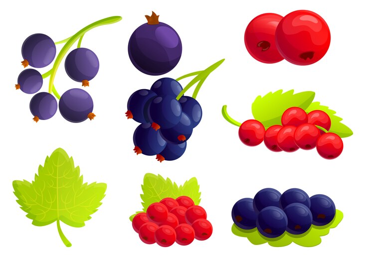 Vector conjunto de iconos de bayas de grosella, estilo de dibujos animados