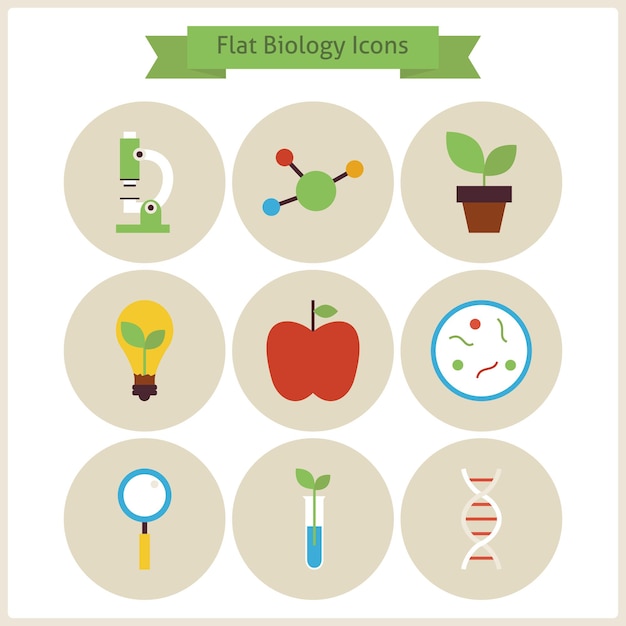 Conjunto de iconos de biología escolar plana. Ilustraciones vectoriales de estilo plano. De vuelta a la escuela. Conjunto de ciencia y educación. Colección de Objetos de Investigación y Fitología Botánica Química. Iconos de círculo