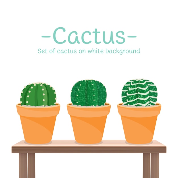 Conjunto de iconos de cactus aislados en fondo blanco