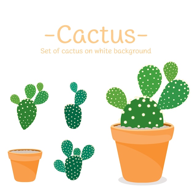 Conjunto de iconos de cactus aislados en fondo blanco