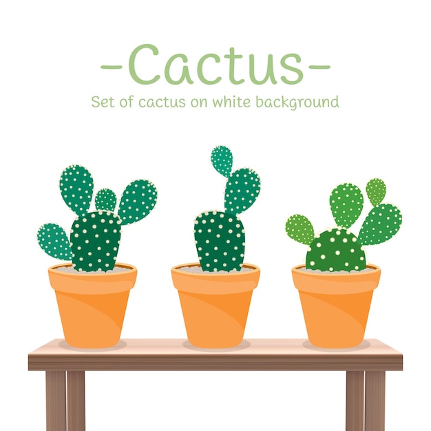 Conjunto de iconos de cactus aislados en fondo blanco