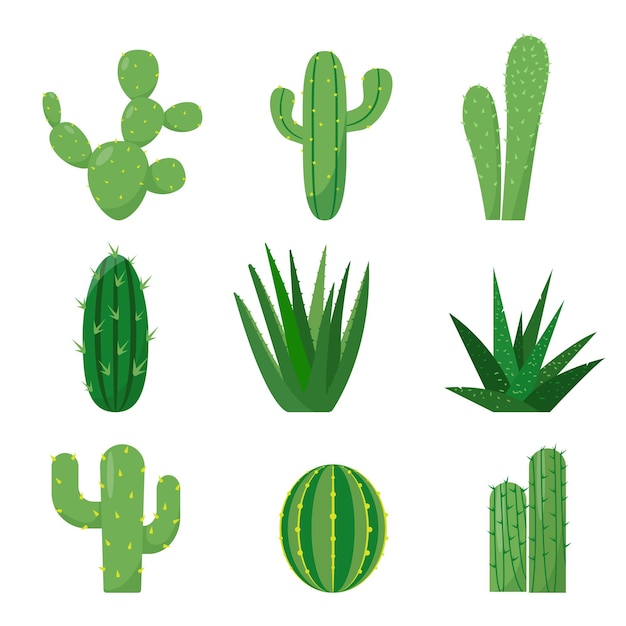 Vector conjunto de iconos de cactus aislados sobre fondo blanco plantas de casa decorativas exóticas