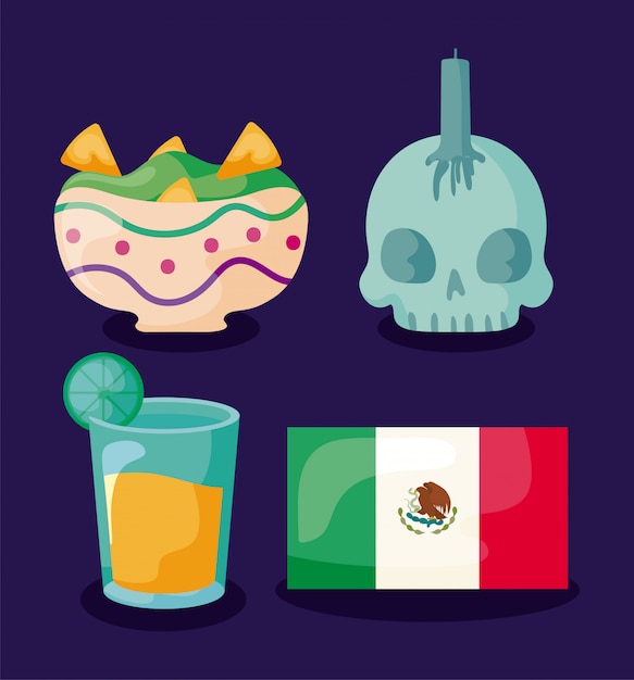 Vector conjunto de iconos cinco de mayo