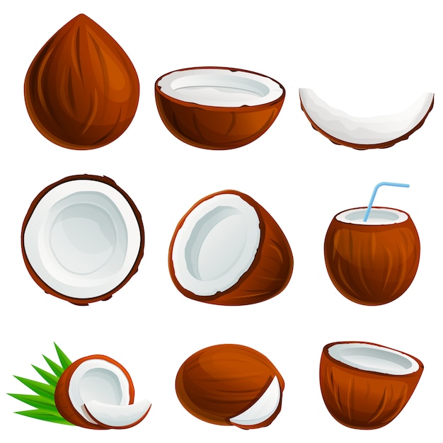 Conjunto de iconos de coco, estilo de dibujos animados