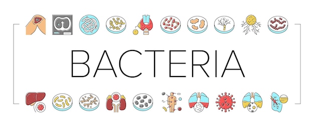 Conjunto de iconos de colección de infección bacteriana vector