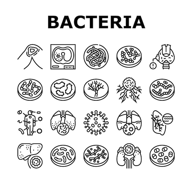 Conjunto de iconos de colección de infecciones bacterianas vector