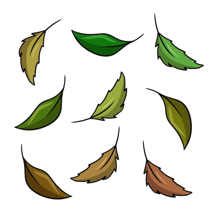 Vector un conjunto de iconos de colores hojas de té verde para preparar ingredientes de cóctel de té dibujos animados vectoriales