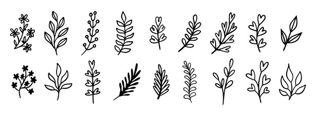 El conjunto de iconos dibujados a mano del doodle moderno de la hoja bonita El dibujo del contorno de la hoja moderna La colección de símbolos de la línea clipart