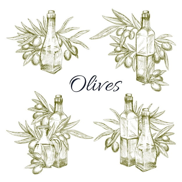 Conjunto de iconos de dibujo vectorial de aceite de oliva y aceitunas