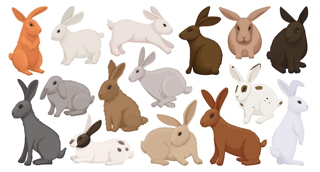 Vector conjunto de iconos de dibujos animados de conejo.