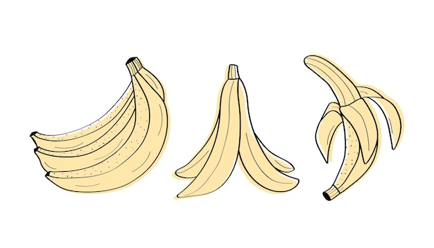 Conjunto de iconos de dibujos animados de frutas de plátano Concepto de ilustración vectorial para la dieta