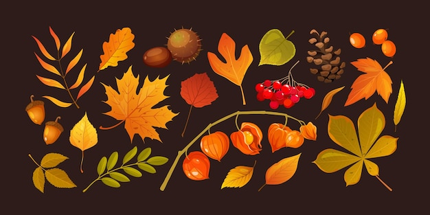 Conjunto de iconos de dibujos animados con hojas de otoño bayas piñas castaño y physalis
